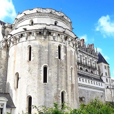 En Plein Coeur : Charmant Gite Centre Amboise Apartment Exterior foto