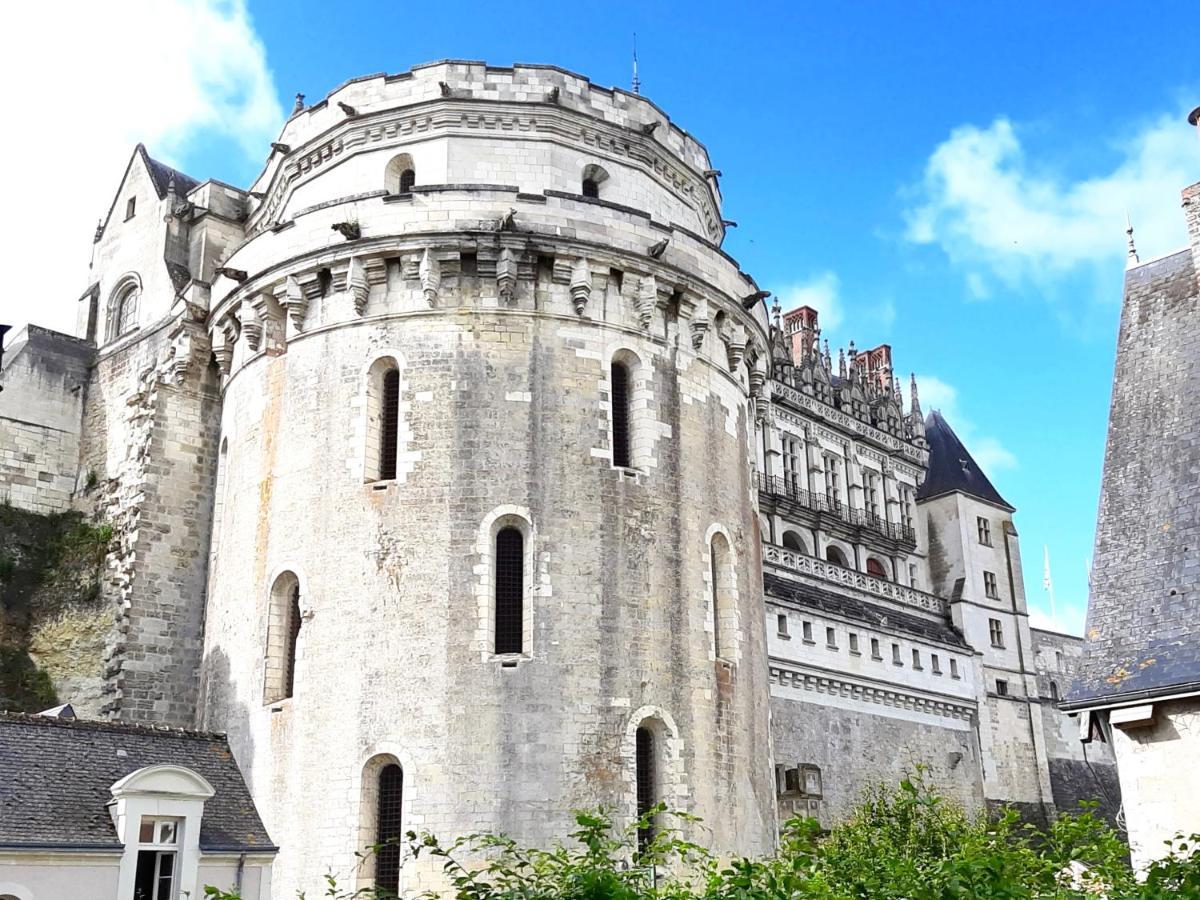 En Plein Coeur : Charmant Gite Centre Amboise Apartment Exterior foto